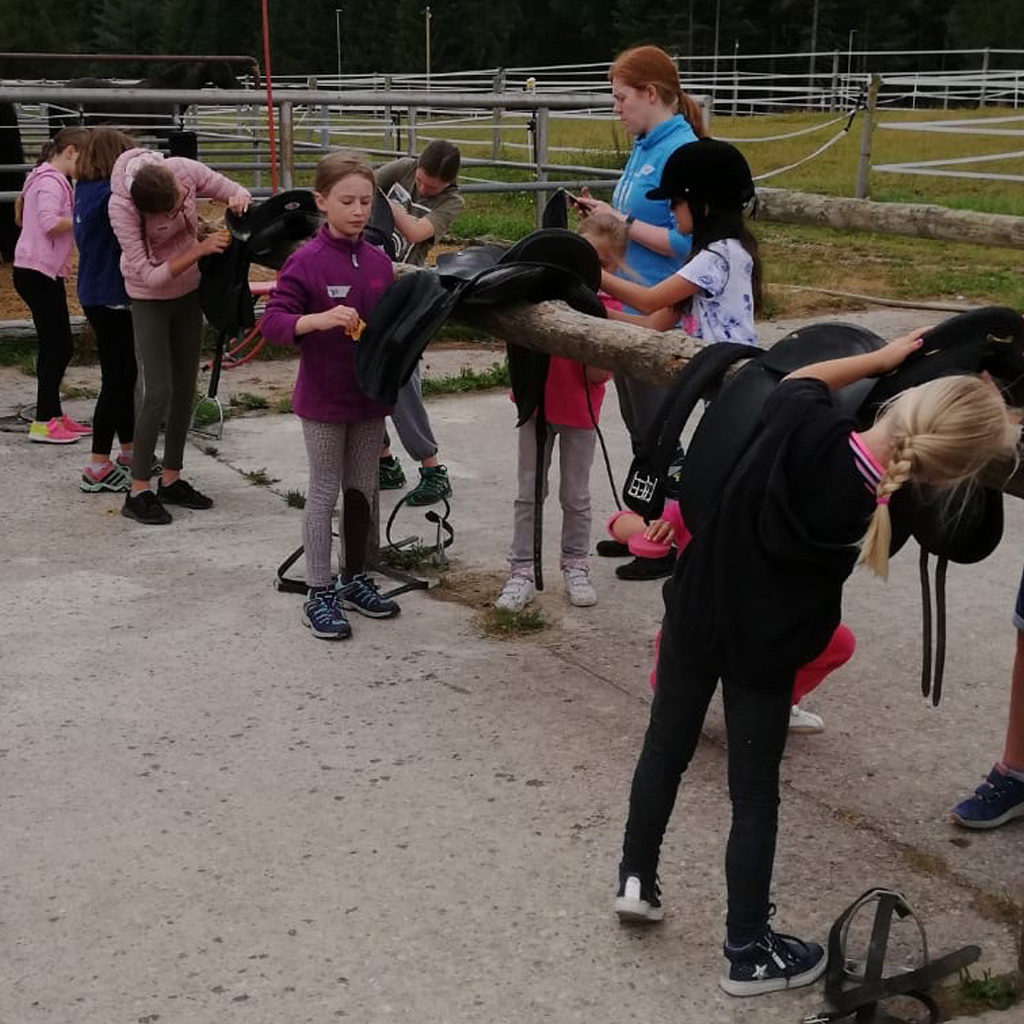 Sattelputzen beim Kinderferienprogramm