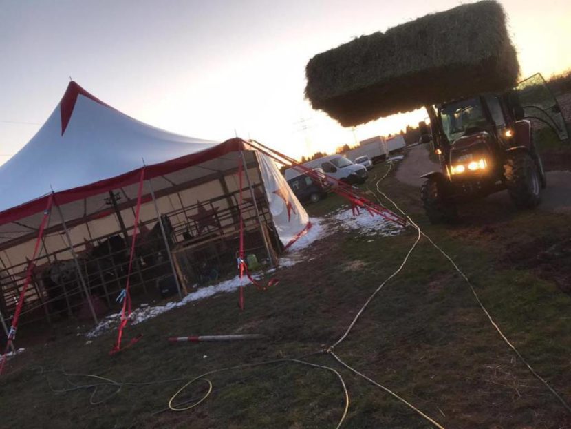 Futter für den Zirkus Alessio