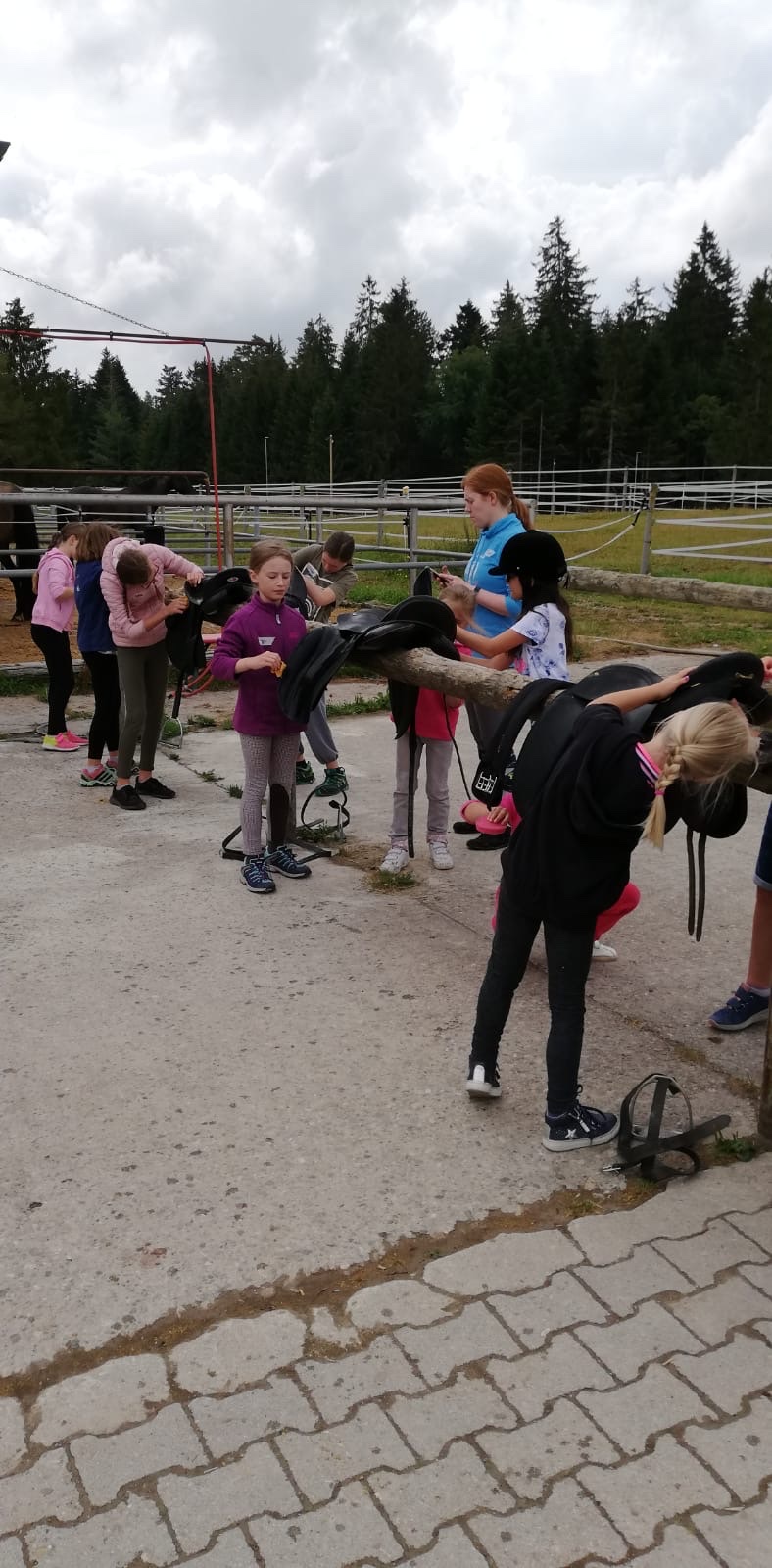 Sattelputzen beim Kinderferienprogramm