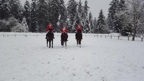 Nikolaus